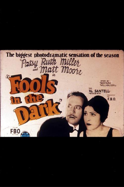 Fools in the Dark 1924 official movie poster