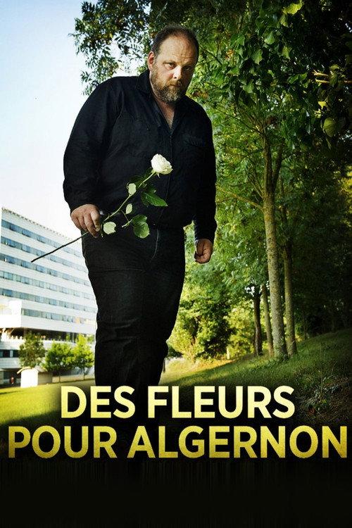 Flowers for Algernon 2014 official movie poster