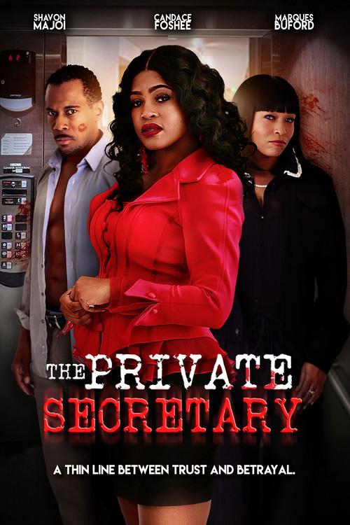 The Private Secretary 2024 official movie poster