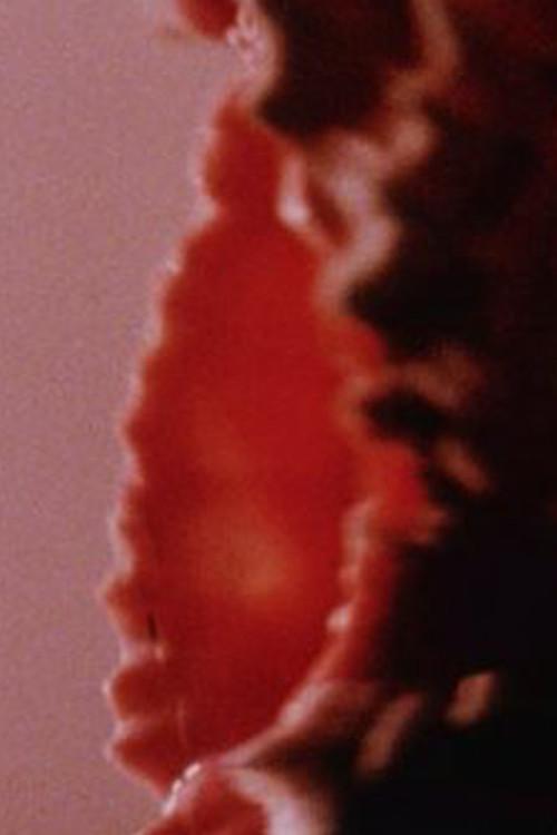 Private Property (Public Domain) 1991 official movie poster