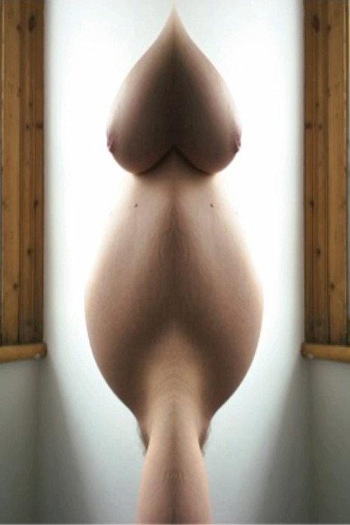 Pregnant Pussy Mash Up 2013 official movie poster