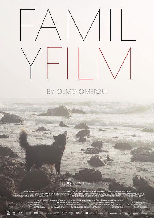Family Film 2016 official movie poster