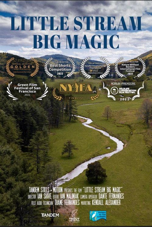Little Stream, Big Magic 2022 official movie poster