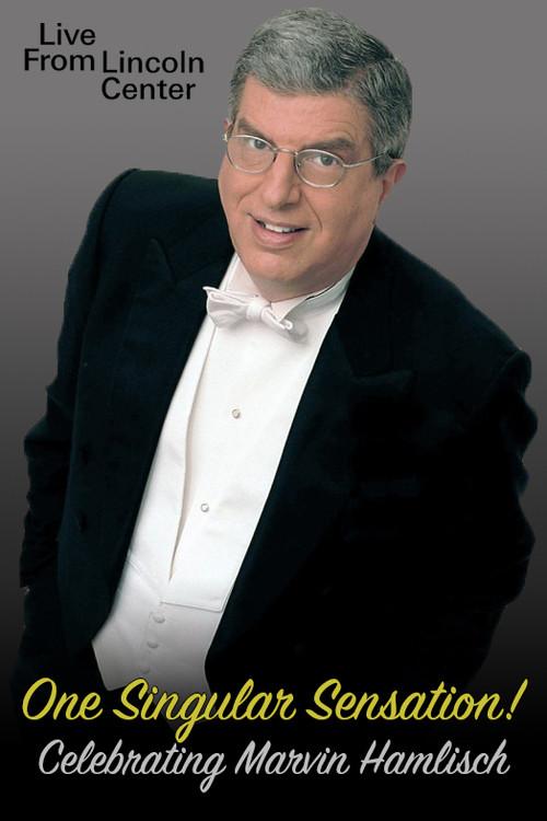 One Singular Sensation! Celebrating Marvin Hamlisch 2012 official movie poster