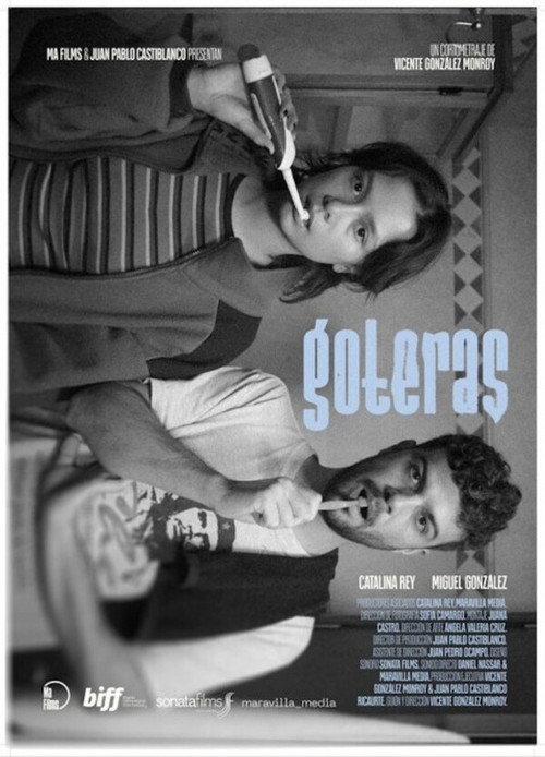 Leaks  official movie poster