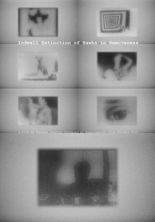 Indwell Extinction of Hawks in Remoteness 2012 official movie poster