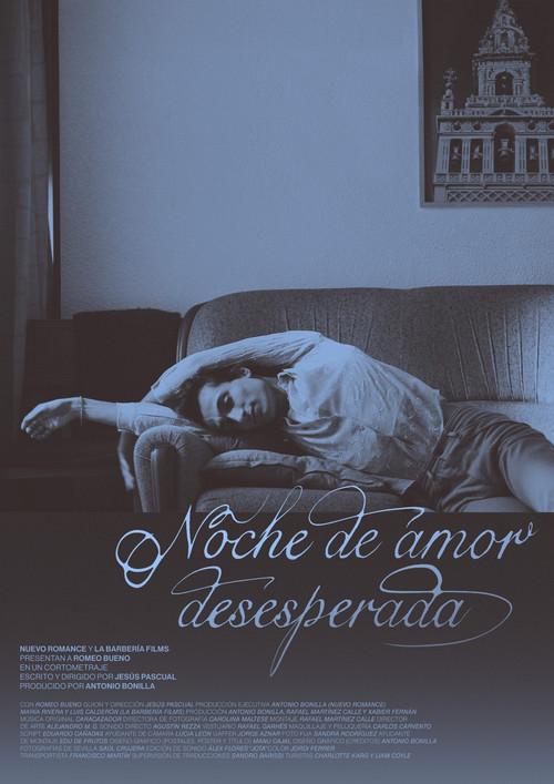 Noche de amor desesperada 2025 official movie poster