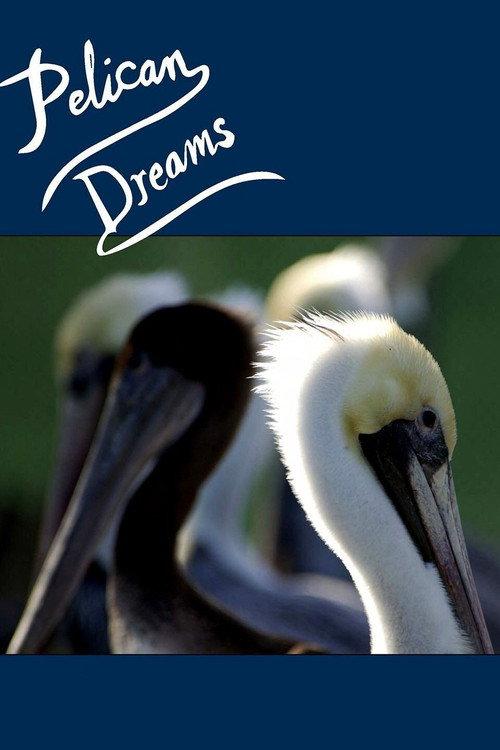 Pelican Dreams 2014 official movie poster