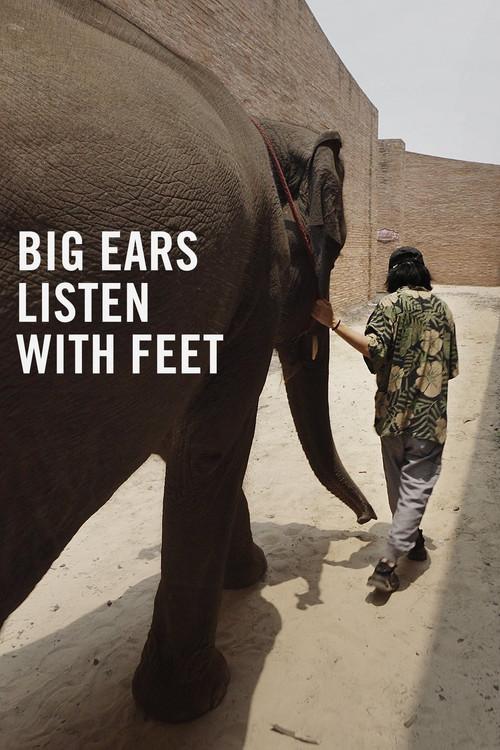 Big Ears Listen with Feet 2022 official movie poster