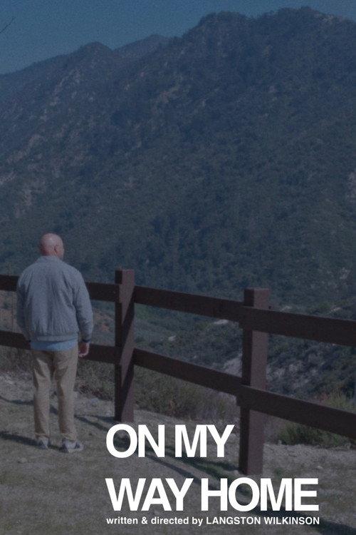 On My Way Home 2025 official movie poster