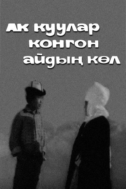 Swans Arrive Here 1972 official movie poster