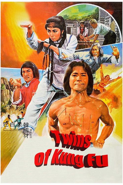 Twins of Kung Fu 1981 official movie poster