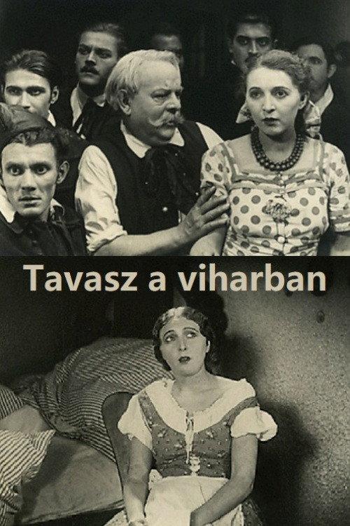 Tavasz a viharban 1929 official movie poster