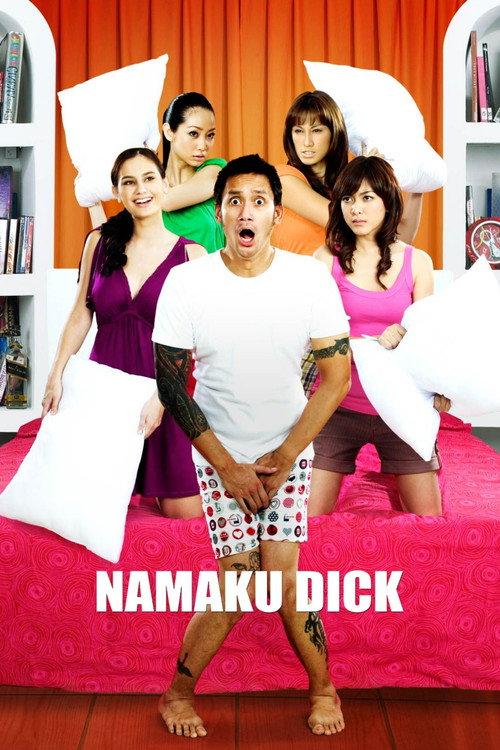 My Name is Dick 2008 official movie poster