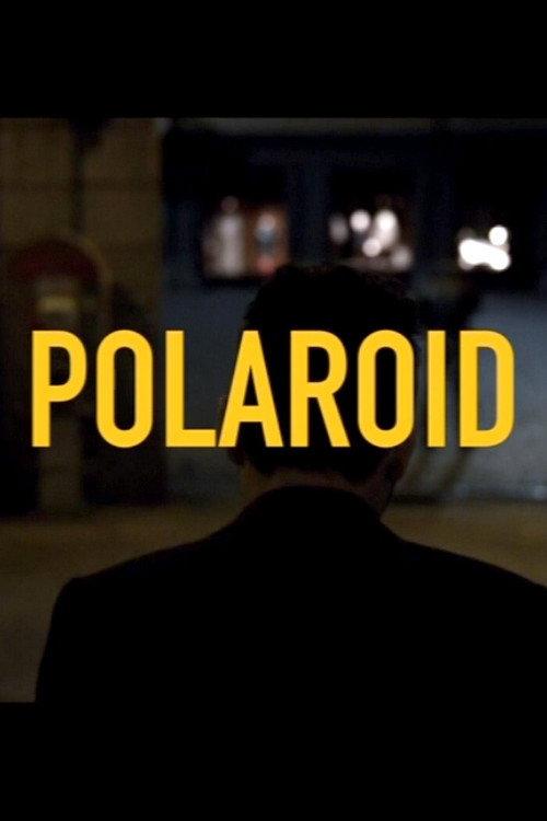 Polaroid 2014 official movie poster
