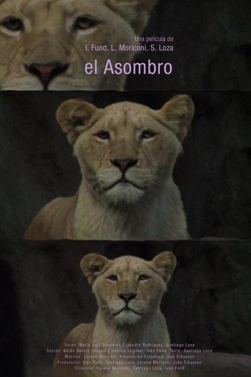El asombro 2014 official movie poster