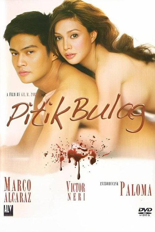 Pitik Bulag 2009 official movie poster