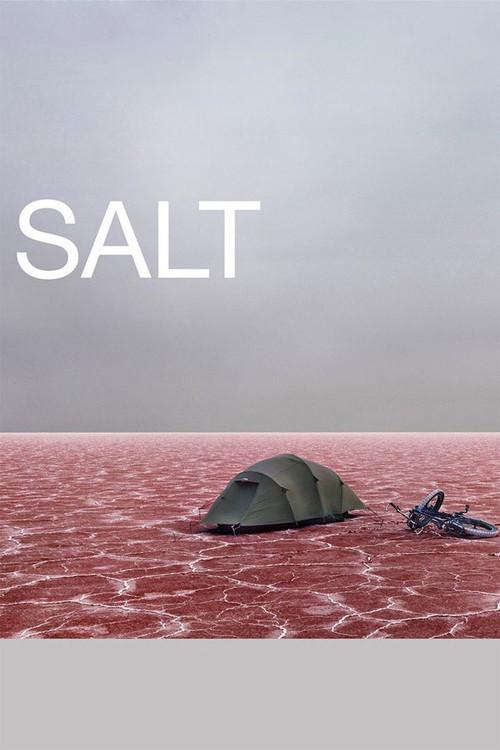 Salt 2009 official movie poster