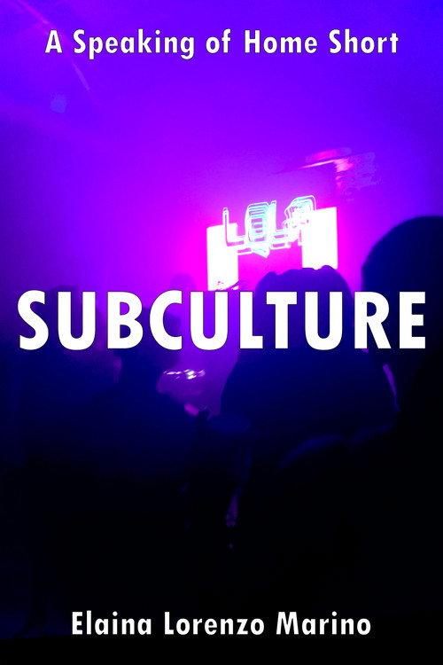 SUBCULTURE 2024 official movie poster