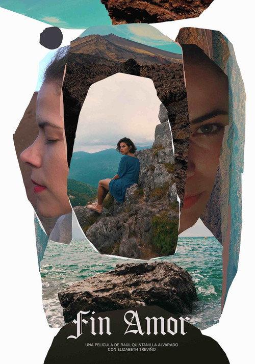 Fin Amor 2019 official movie poster