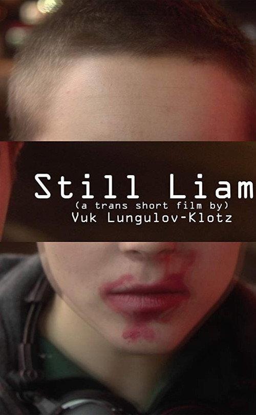 Still Liam 2016 official movie poster
