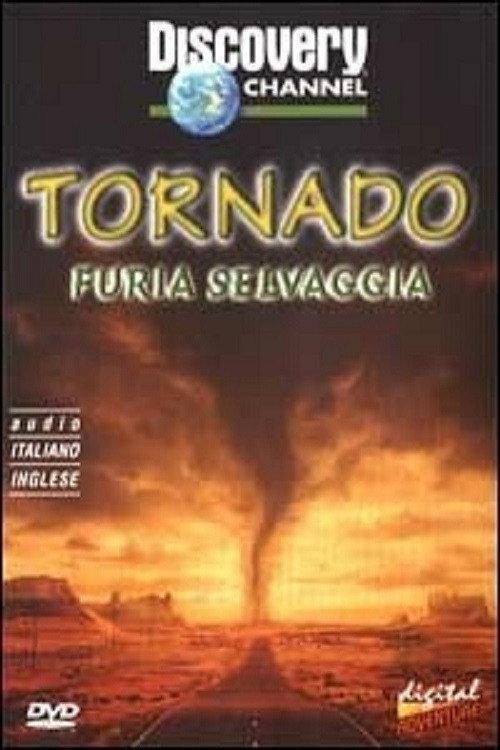 Tornado Chasers 2000 official movie poster