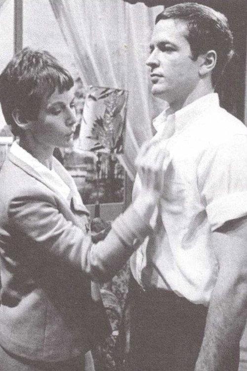 Satisfaction Guaranteed 1966 official movie poster