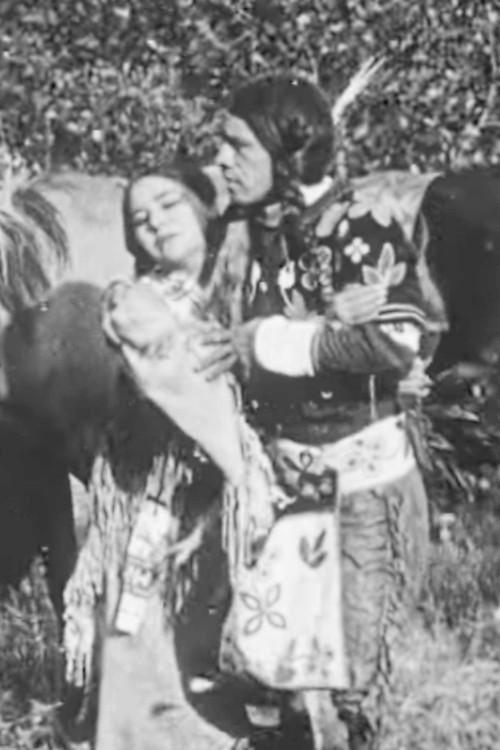 The Cheyenne's Bride 1911 official movie poster