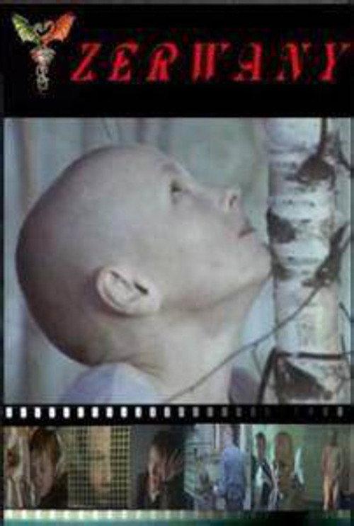 Torn 2003 official movie poster