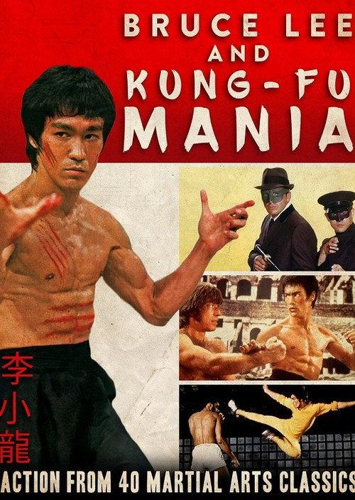 Bruce Lee and Kung Fu Mania 1992 official movie poster