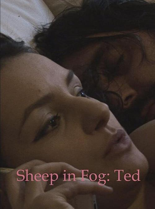 Sheep in Fog 2016 official movie poster
