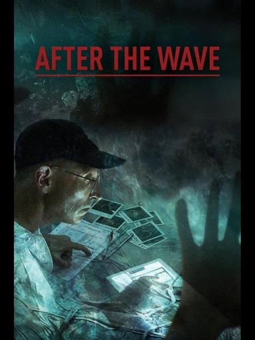 After the Wave 2014 official movie poster