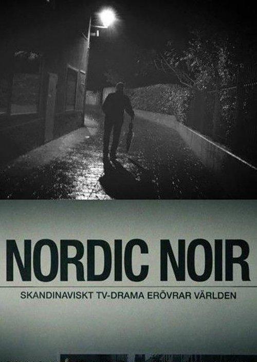 Nordic Noir - The Rise of Scandi Drama 2014 official movie poster