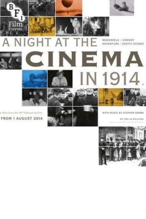 A Night at the Cinema in 1914 2014 official movie poster