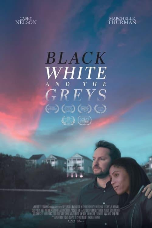 Black White and the Greys 2023 official movie poster