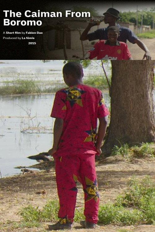 The Caiman From Boromo 2016 official movie poster