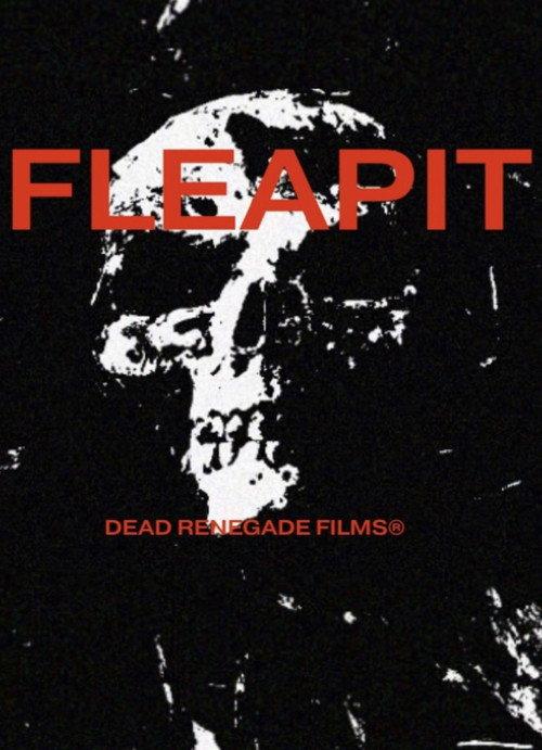 Fleapit 2024 official movie poster