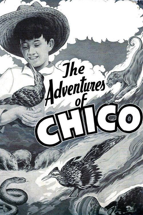 The Adventures of Chico 1938 official movie poster