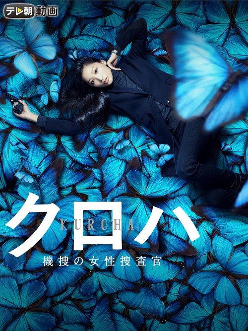 Pla-Baroque 2015 official movie poster
