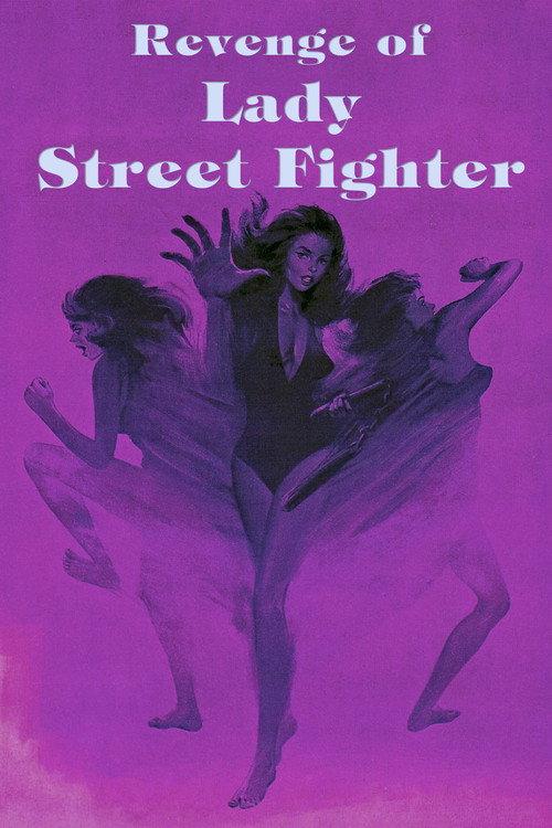 Revenge of Lady Street Fighter 1990 official movie poster