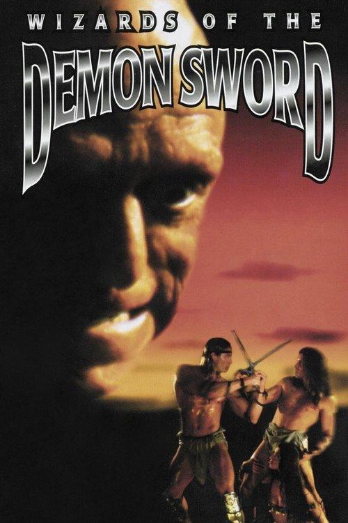 Wizards of the Demon Sword 1991 official movie poster