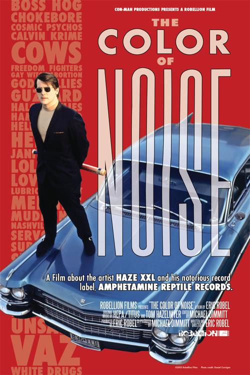 The Color of Noise 2014 official movie poster