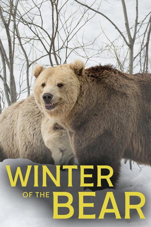 Winter of the Bear 2025 official movie poster