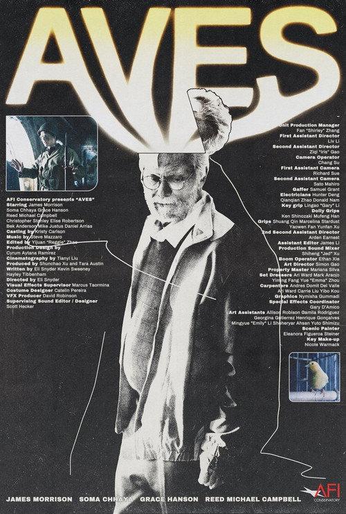 Aves 2023 official movie poster