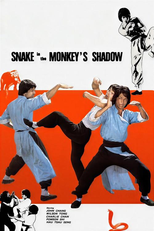 Snake in the Monkey's Shadow 1979 official movie poster