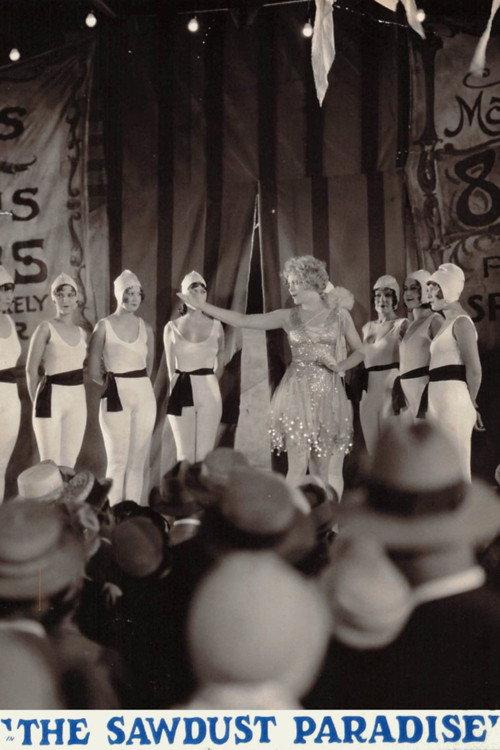 The Sawdust Paradise 1928 official movie poster