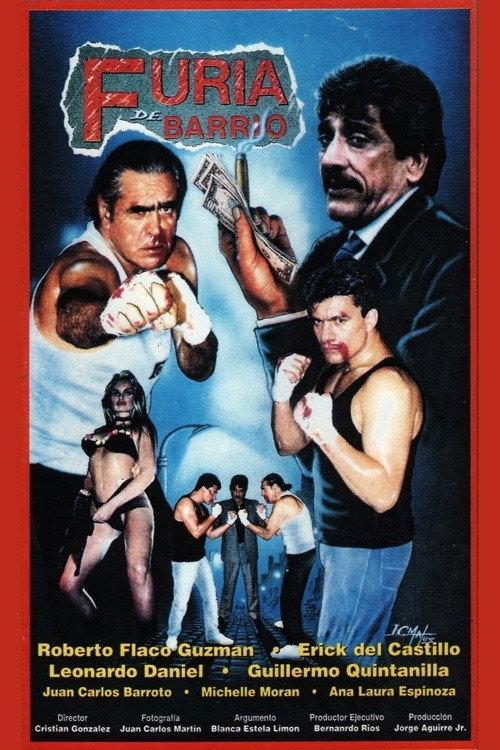 Furia de barrio 1993 official movie poster