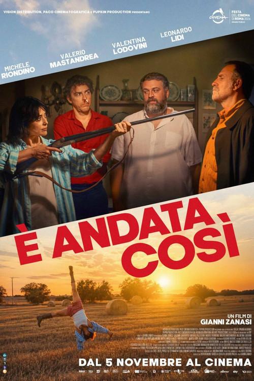 È andata così 2026 official movie poster