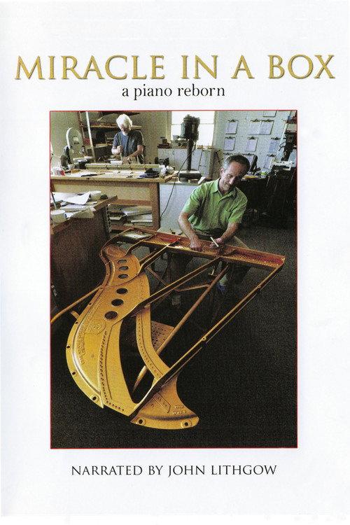 Miracle in a Box: A Piano Reborn 2009 official movie poster