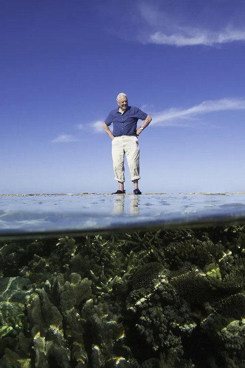 Reef Diaries 2015 official movie poster